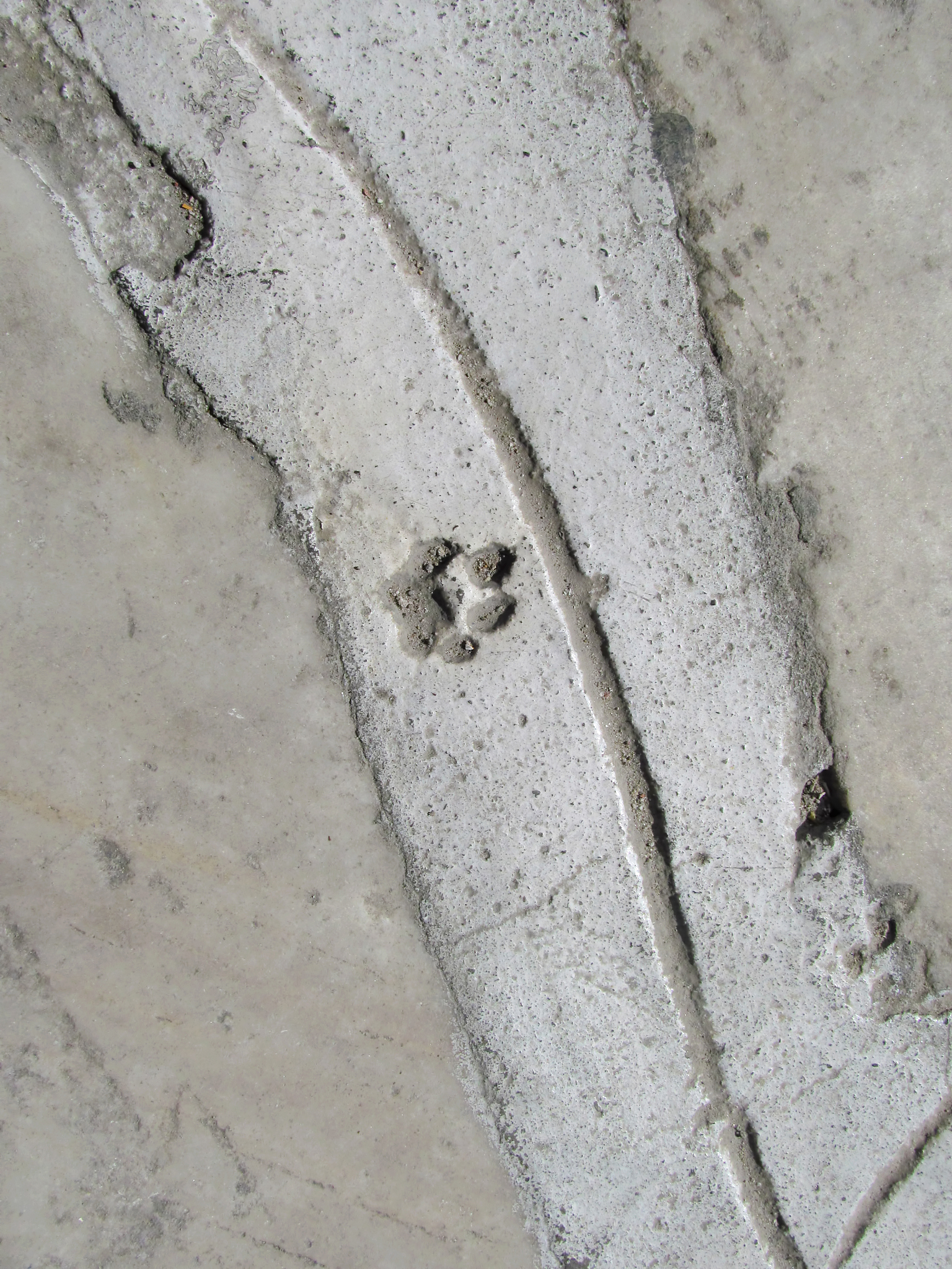 地面大面积空鼓怎么处理(地面大面积空鼓怎么处理好) 地面大面积空鼓怎么处理(地面大面积空鼓怎么处理好)